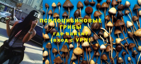 амф Богородск