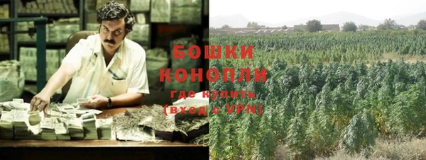 дживик Богородицк