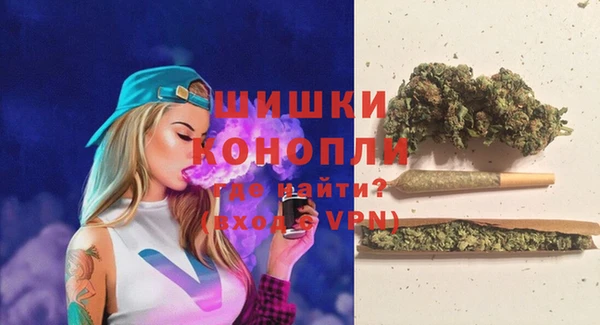 дживик Богородицк