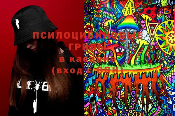 дживик Богородицк