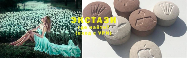 дживик Богородицк