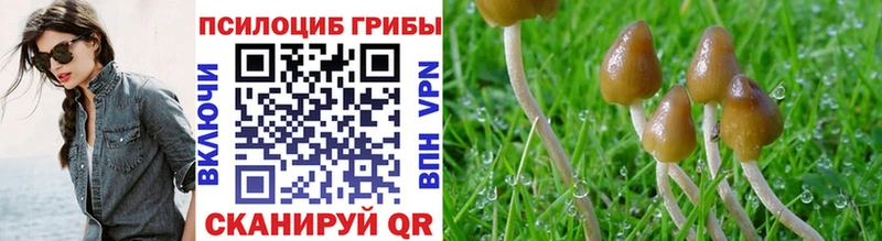 Псилоцибиновые грибы ЛСД  Котовск 