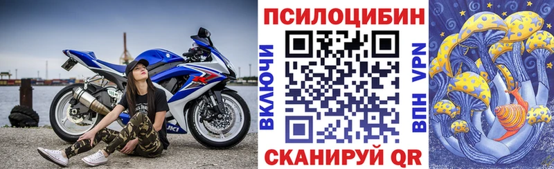 Галлюциногенные грибы Magic Shrooms Котовск